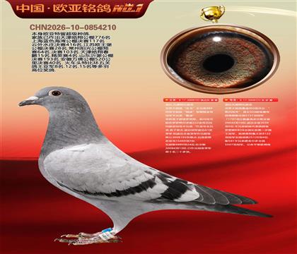 盖比.凡德纳比原舍193X123