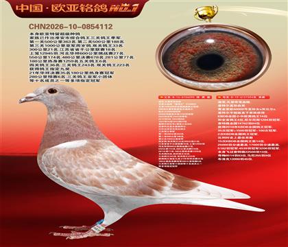 迪克.凡登布克血统基特尔295X基特尔直孙394