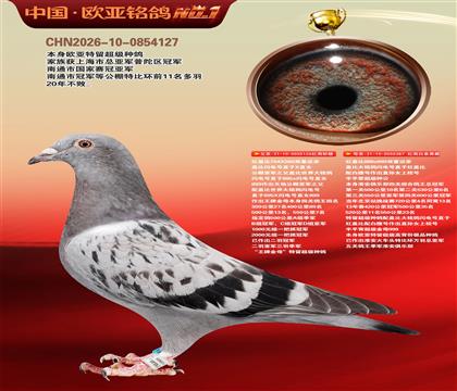 红盖比 126X387