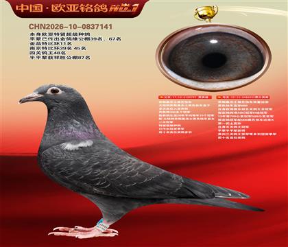 乔斯桑杰士黑色快车797X539