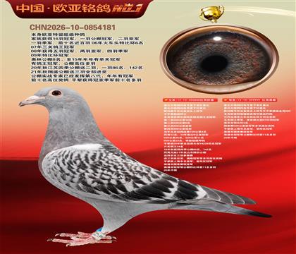 红盖比近亲888X红盖比近亲999公棚利器