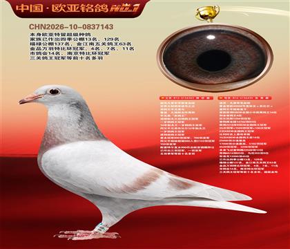迪克凡登布克原舍奇迹号362X40000号435