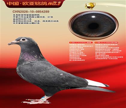 乔斯桑杰士黑色快车797X539