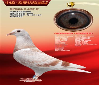 迪克.凡登布克血统基特尔233X260超级配对