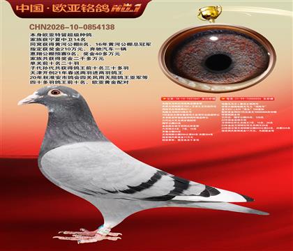 电脑041X桑杰士006