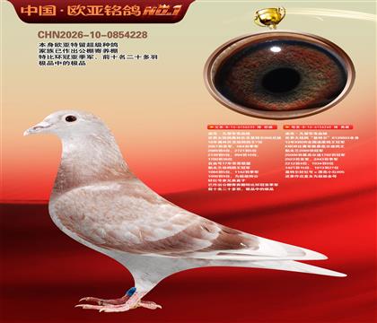 迪克.凡登布克血统基特尔233X260超级配对