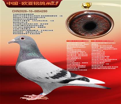 电脑097国家赛1500公里4名X桑杰士777