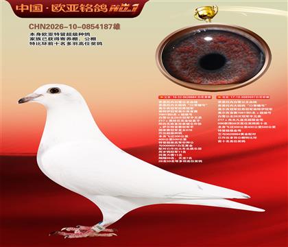 乔思托内白雪公主原舍884X697