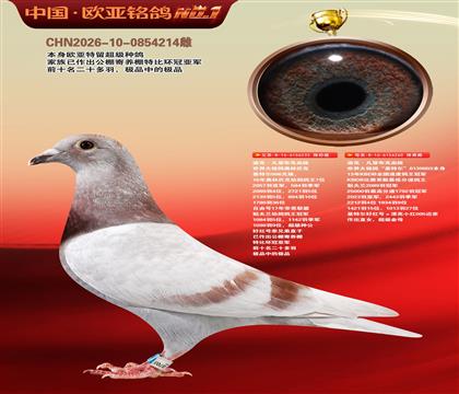 迪克.凡登布克血统基特尔233X260超级配对