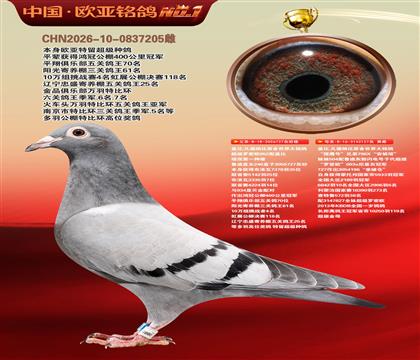 盖比原舍超级罗密欧直子727X猎鹰号127