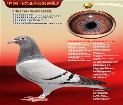 盖比原舍鲁迪998X鲁迪直女098