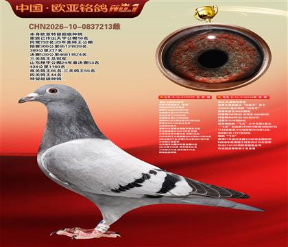 盖比原舍鲁迪直子129X闪电号165