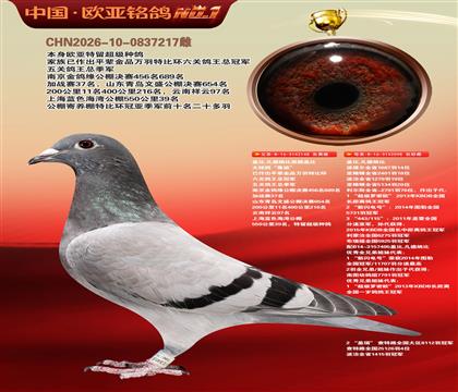 盖比原舍鲁迪148X鲁迪098