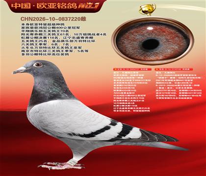 盖比原舍罗密欧直子727X罗密欧直孙女165