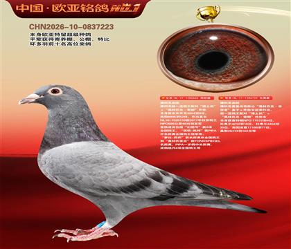 佛科克“推土机”外孙666X“奥林匹克.幸存者”近亲732