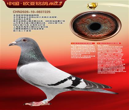盖比原舍鲁迪148X鲁迪098