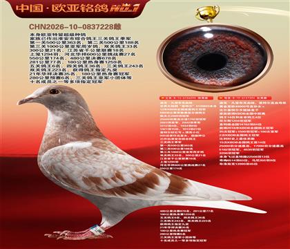 迪克.凡登布克血统基特尔295X基特尔直孙394