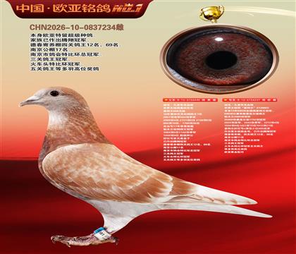 迪克.凡登布克440X基特尔237黄金配对
