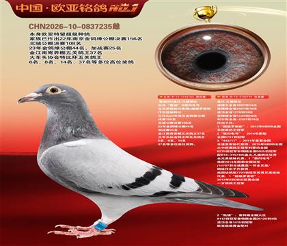 盖比原舍鲁迪直子183X鲁迪直女199