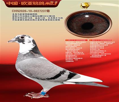 电脑X桑杰士直子989X桑杰士682金母