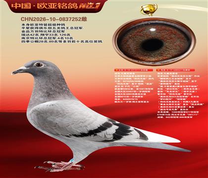 迪克.凡戴克原舍111X611奥林匹克尼尔斯