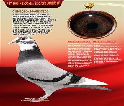 电脑097国家赛1500公里4名X桑杰士777