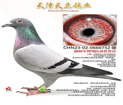 御林军宇航40名外孙.0666752
