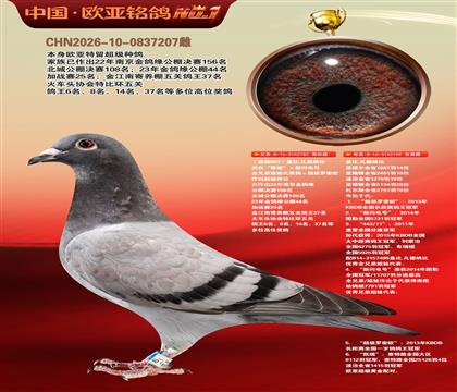 盖比原舍鲁迪直子183X鲁迪直女199