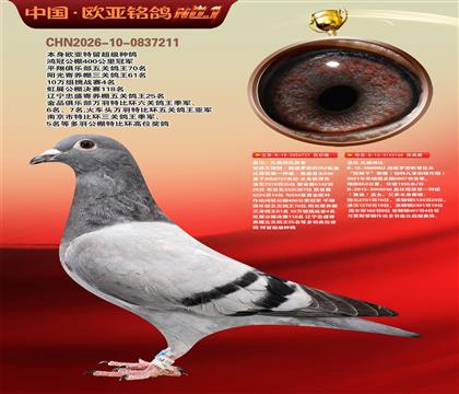 盖比原舍罗密欧直子727X罗密欧直孙女165