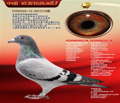 盖比原舍鲁迪148X鲁迪098