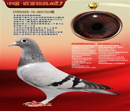 电脑041X桑杰士006