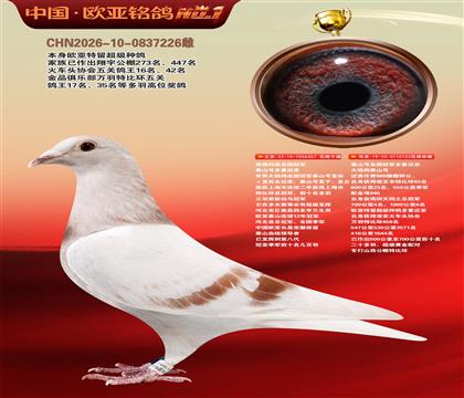 西佛依托全国冠军泰山号多重近亲357X133