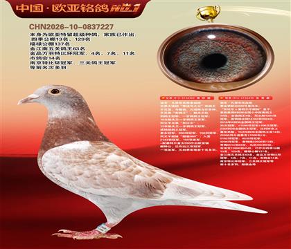 迪克凡登布克原舍奇迹号362X40000号435