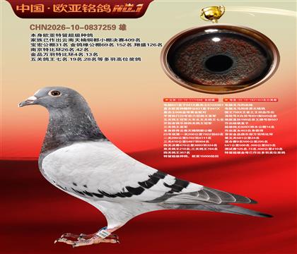 电脑桑杰士048X电脑戈马利453
