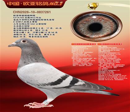迪克凡戴克所向无敌回血531X迪霍迪蒙苏703