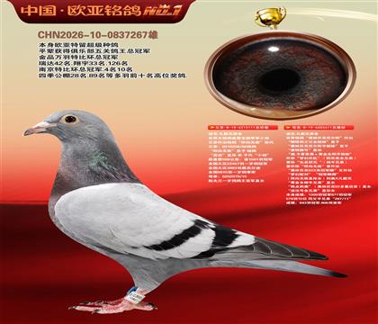 迪克.凡戴克原舍111X611奥林匹克尼尔斯