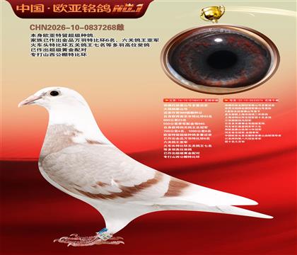 西佛依托全国冠军泰山号多重近亲419X076