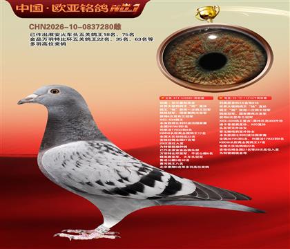 利奥.贺尔曼斯原舍851X679