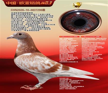 迪克.凡登布克血统基特尔295X基特尔直孙394