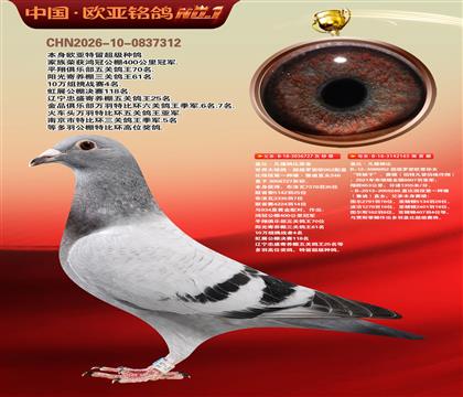 盖比原舍罗密欧直子727X罗密欧直孙女165