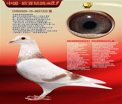 迪克.凡登布克血统基特尔295X基特尔直孙394
