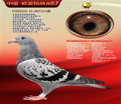 利奥原舍杨外孙855X迪卡普利奥力量号019