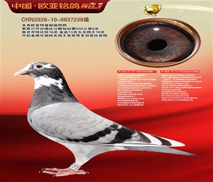 电脑X桑杰士直子989X桑杰士682金母