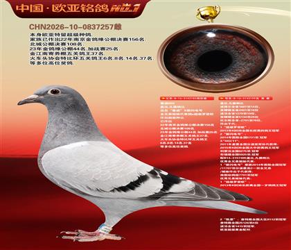 盖比原舍鲁迪直子183X鲁迪直女199