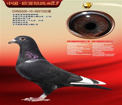 乔斯桑杰士黑色快车797X539