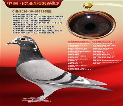 电脑041X桑杰士006