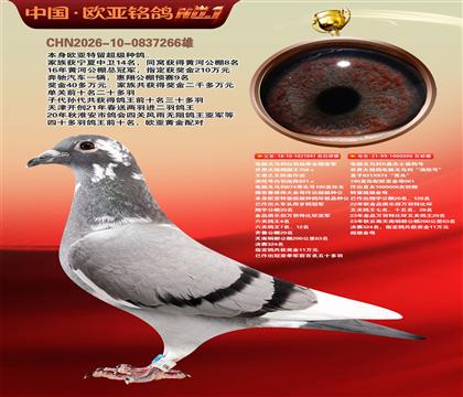 电脑041X桑杰士006