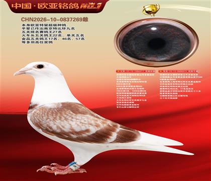 西佛依托全国冠军泰山号多重近亲317X573
