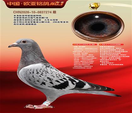 利奥原舍220X新罗西独眼雌003