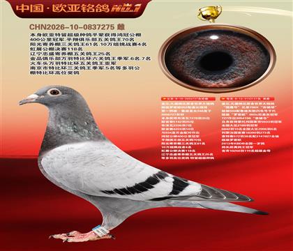 盖比原舍超级罗密欧直子727X猎鹰号127